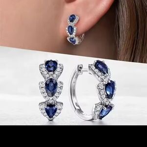 Stainless Steal Elegant Sapphire Blue and Silver Earrings